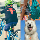 Rastreador de  Pet Bluetooth